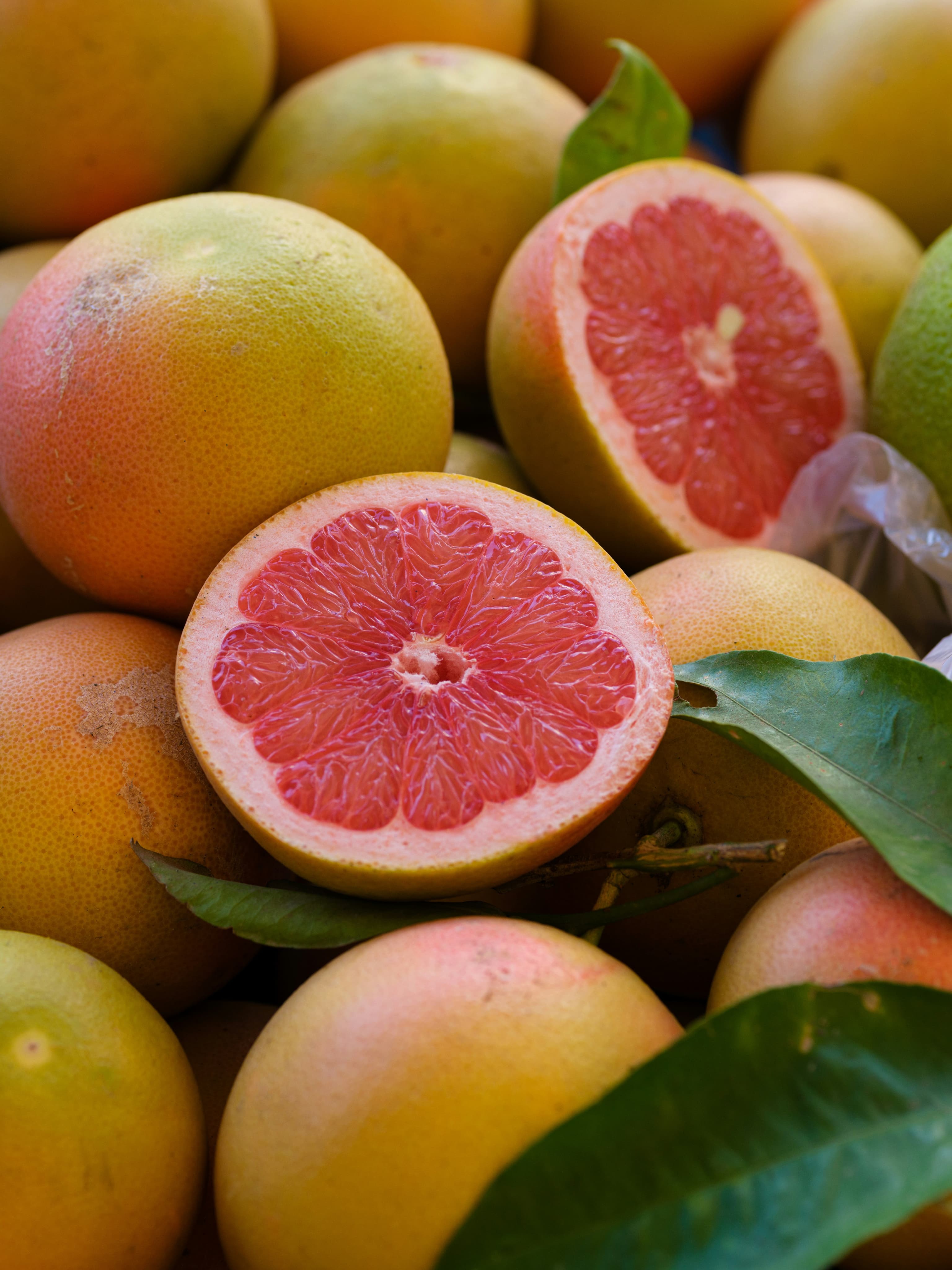 Pink Grapefruit